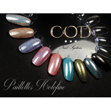 Paillettes Holofine 1