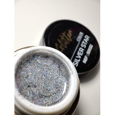 Gel couleur Silver Star